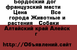 Бордоский дог ( французский масти)  › Цена ­ 50 000 - Все города Животные и растения » Собаки   . Алтайский край,Алейск г.